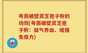 粤薇破壁灵芝孢子粉的功效(粤薇破壁灵芝孢子粉：益气养血、增强免疫力)