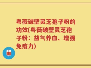 粤薇破壁灵芝孢子粉的功效(粤薇破壁灵芝孢子粉：益气养血、增强免疫力)