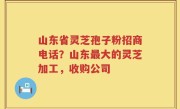 山东省灵芝孢子粉招商电话？山东最大的灵芝加工，收购公司
