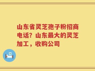 山东省灵芝孢子粉招商电话？山东最大的灵芝加工，收购公司