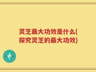 灵芝最大功效是什么(探究灵芝的最大功效)
