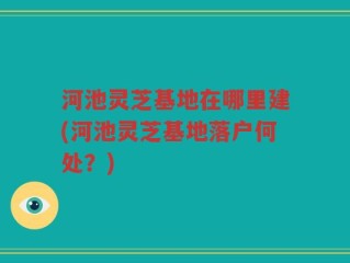 河池灵芝基地在哪里建(河池灵芝基地落户何处？)