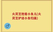 火灵芝抱着小鱼儿(火灵芝护送小鱼归巢)