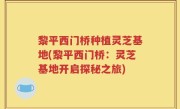黎平西门桥种植灵芝基地(黎平西门桥：灵芝基地开启探秘之旅)