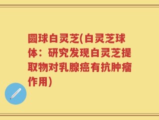 圆球白灵芝(白灵芝球体：研究发现白灵芝提取物对乳腺癌有抗肿瘤作用)