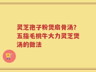 灵芝孢子粉煲扇骨汤？五指毛桃牛大力灵芝煲汤的做法