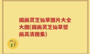 国画灵芝仙草图片大全大图(国画灵芝仙草壁画高清图集)