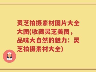 灵芝拍摄素材图片大全大图(收藏灵芝美图，品味大自然的魅力：灵芝拍摄素材大全)