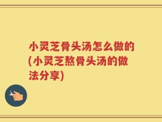 小灵芝骨头汤怎么做的(小灵芝熬骨头汤的做法分享)