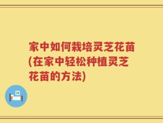 家中如何栽培灵芝花苗(在家中轻松种植灵芝花苗的方法)