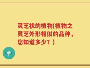 灵芝状的植物(植物之灵芝外形相似的品种，您知道多少？)