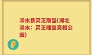 浠水县灵芝雕塑(湖北浠水：灵芝雕塑亮相公园)