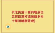 灵芝街道十里荷塘点位灵芝街道打造美丽乡村十里荷塘新景观)
