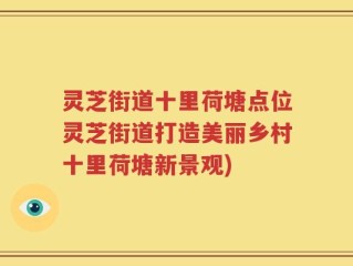 灵芝街道十里荷塘点位灵芝街道打造美丽乡村十里荷塘新景观)
