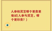 人参和灵芝哪个更贵更难试(人参与灵芝，哪个更珍贵？)
