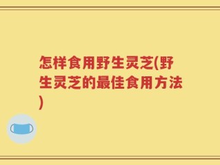 怎样食用野生灵芝(野生灵芝的最佳食用方法)