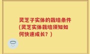 灵芝子实体的栽培条件(灵芝实体栽培须知如何快速成长？)