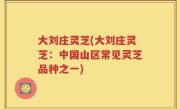 大刘庄灵芝(大刘庄灵芝：中国山区常见灵芝品种之一)