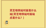 灵芝地铁站对面是什么站(灵芝地铁站对面站点是什么？)