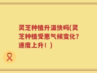 灵芝种植升温快吗(灵芝种植受惠气候变化？速度上升！)