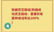 韩国灵芝栽培(韩国成功灵芝栽培：重要药用菌种成活率达100%)