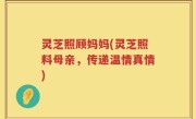 灵芝照顾妈妈(灵芝照料母亲，传递温情真情)