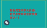 野生灵芝手掌大价格(野生手掌大灵芝价格是多少？)