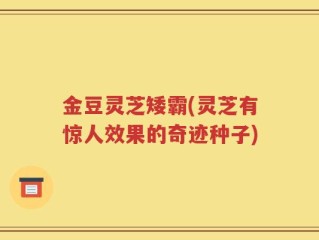 金豆灵芝矮霸(灵芝有惊人效果的奇迹种子)