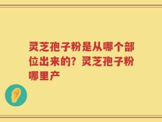 灵芝孢子粉是从哪个部位出来的？灵芝孢子粉哪里产