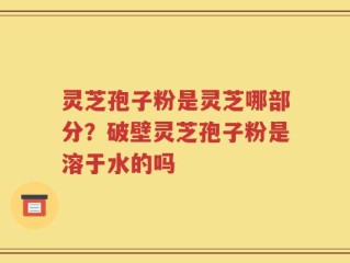 灵芝孢子粉是灵芝哪部分？破壁灵芝孢子粉是溶于水的吗