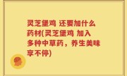 灵芝堡鸡 还要加什么药材(灵芝堡鸡 加入多种中草药，养生美味享不停)