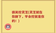 搞笑挖灵芝(灵芝就在你脚下，学会挖就是你的！)