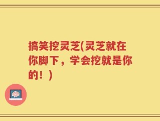 搞笑挖灵芝(灵芝就在你脚下，学会挖就是你的！)