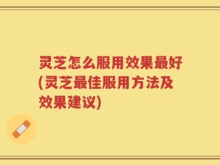 灵芝怎么服用效果最好(灵芝最佳服用方法及效果建议)