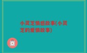 小灵芝情感故事(小灵芝的爱情故事)