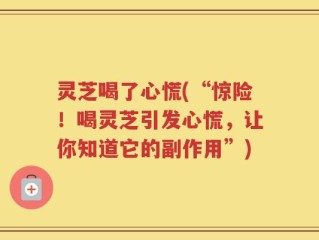 灵芝喝了心慌(“惊险！喝灵芝引发心慌，让你知道它的副作用”)