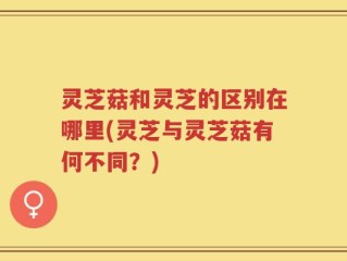 灵芝菇和灵芝的区别在哪里(灵芝与灵芝菇有何不同？)