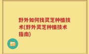 野外如何找灵芝种植技术(野外灵芝种植技术指南)