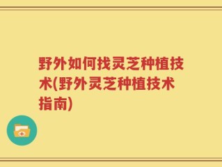 野外如何找灵芝种植技术(野外灵芝种植技术指南)