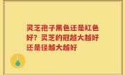 灵芝孢子黑色还是红色好？灵芝的冠越大越好还是径越大越好