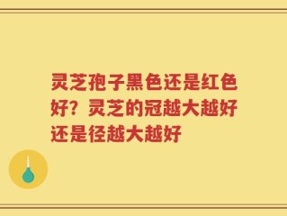灵芝孢子黑色还是红色好？灵芝的冠越大越好还是径越大越好
