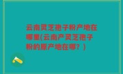 云南灵芝孢子粉产地在哪里(云南产灵芝孢子粉的原产地在哪？)
