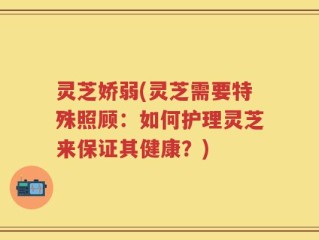 灵芝娇弱(灵芝需要特殊照顾：如何护理灵芝来保证其健康？)