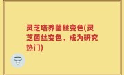 灵芝培养菌丝变色(灵芝菌丝变色，成为研究热门)