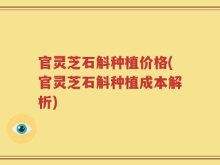 官灵芝石斛种植价格(官灵芝石斛种植成本解析)