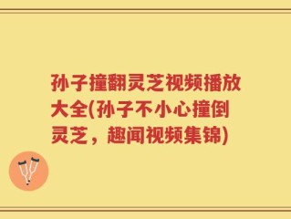 孙子撞翻灵芝视频播放大全(孙子不小心撞倒灵芝，趣闻视频集锦)