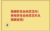 西藏野生白肉灵芝片(稀有野生白肉灵芝片从西藏呈现)