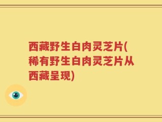 西藏野生白肉灵芝片(稀有野生白肉灵芝片从西藏呈现)