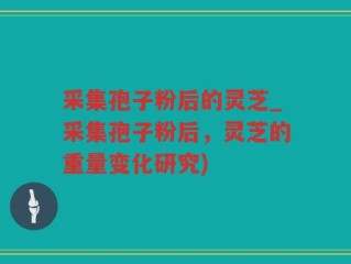 采集孢子粉后的灵芝_采集孢子粉后，灵芝的重量变化研究)