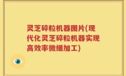 灵芝碎粒机器图片(现代化灵芝碎粒机器实现高效率微细加工)